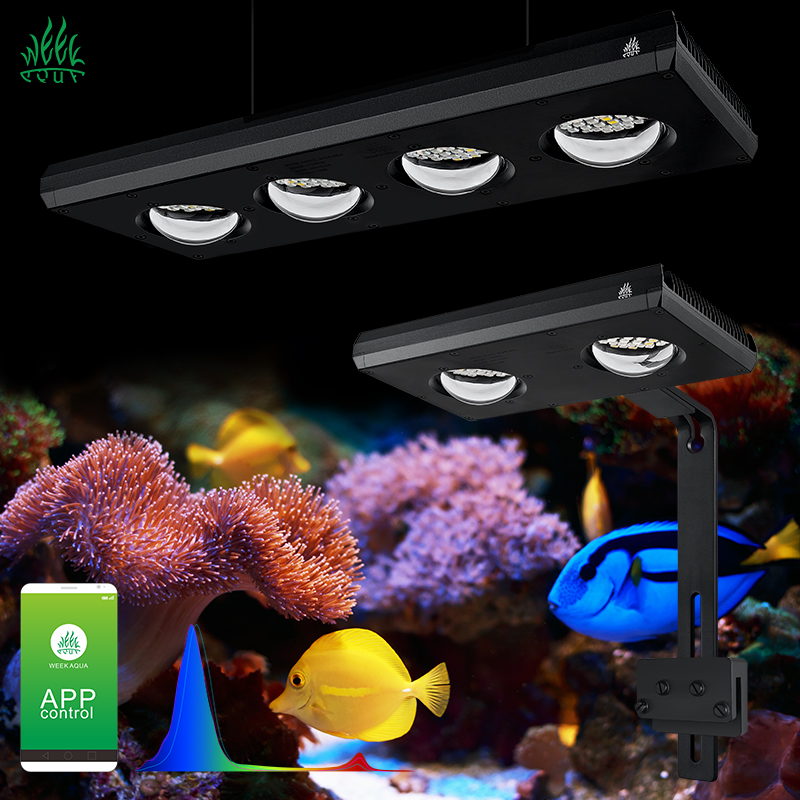 Aquarium Blue Marine Reef - ZXY Hot Sale WEEKAQUA Z250 Z400sea