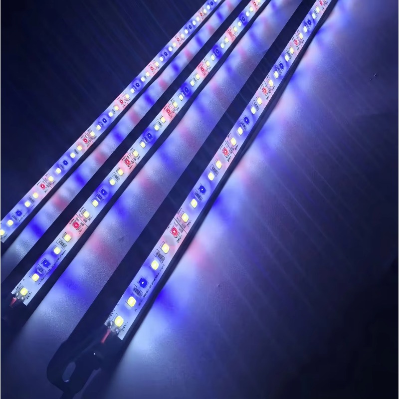 IP68 Waterproof LED Aquarium L - đánh giá và giá Aquarium Blue Marine Reef