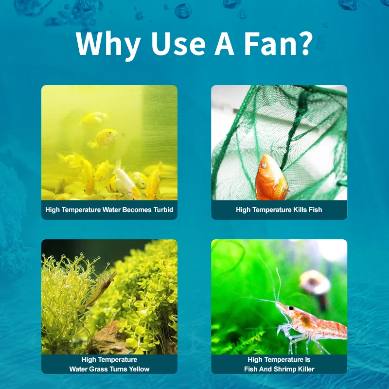 Jebao Jecod ACF Series Aquariu - đánh giá và giá Marine Aquarium Uk