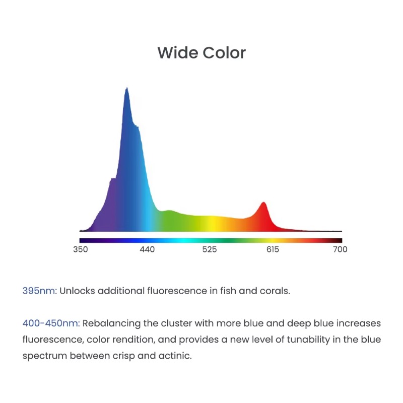 Blue 240W LEDs Full Spectrum W - đánh giá và giá Aquarium Blue Marine Reef