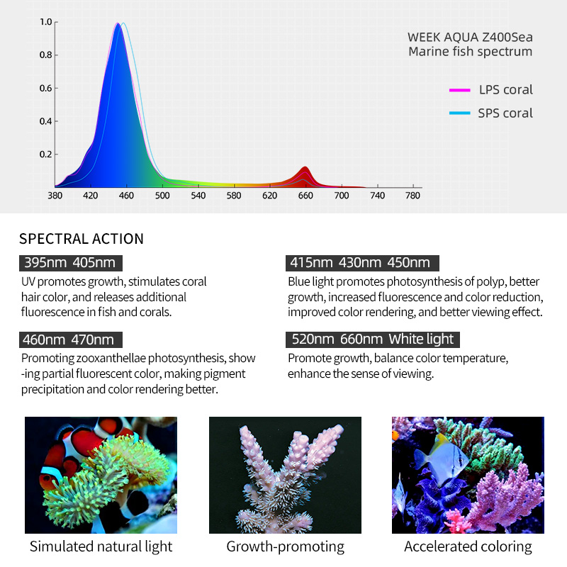 ZXY Hot Sale WEEKAQUA Z250 Z40 - đánh giá và giá Aquarium Blue Marine Reef