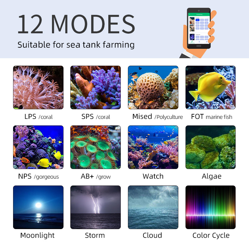 ZXY Hot Sale WEEKAQUA Z250 Z40 - đánh giá và giá Aquarium Blue Marine Reef
